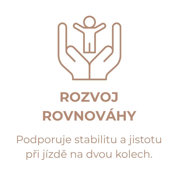 Dětská koloběžka Banwood Maxi Scooter Vintage (2)